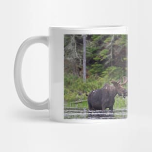 Lunch in Algonquin Park - Canadian Moose Mug